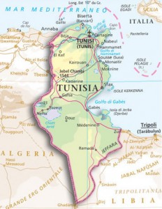 test_img_tunisia_map2.preview